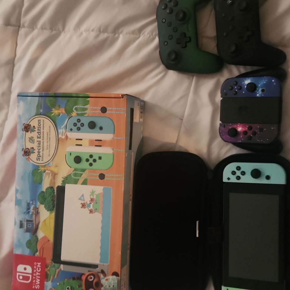 Animal Crossings Switch - Picture 2 of 12